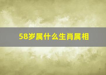 58岁属什么生肖属相