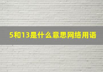 5和13是什么意思网络用语