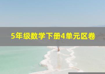 5年级数学下册4单元区卷