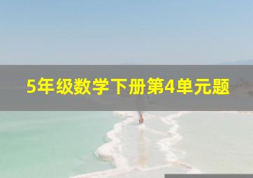 5年级数学下册第4单元题