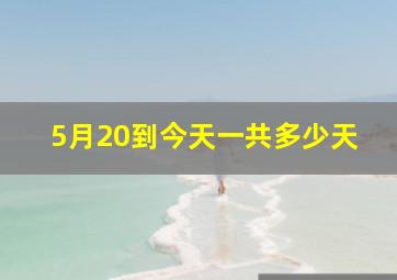 5月20到今天一共多少天