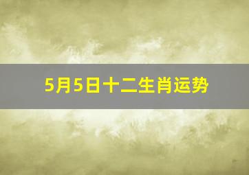 5月5日十二生肖运势