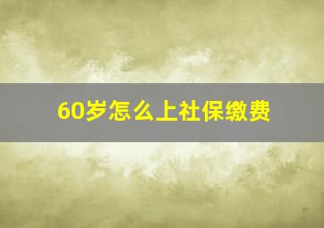 60岁怎么上社保缴费