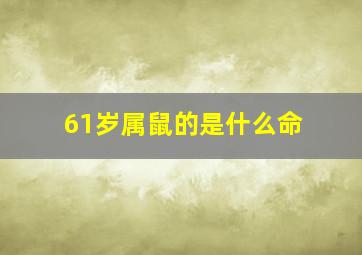 61岁属鼠的是什么命