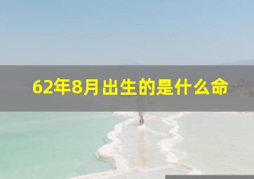 62年8月出生的是什么命