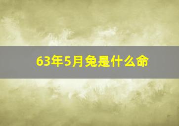 63年5月兔是什么命