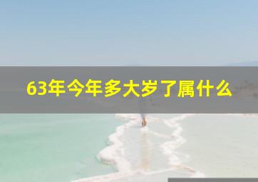 63年今年多大岁了属什么