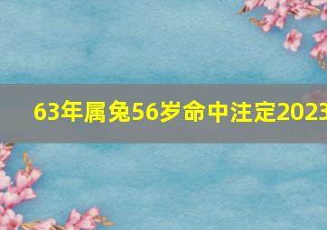 63年属兔56岁命中注定2023