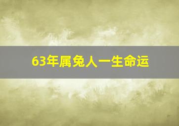 63年属兔人一生命运