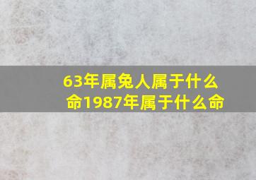 63年属兔人属于什么命1987年属于什么命