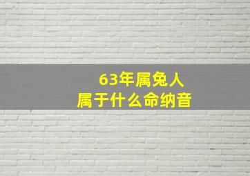 63年属兔人属于什么命纳音