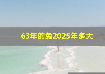 63年的兔2025年多大