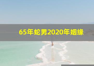 65年蛇男2020年姻缘