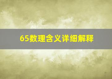 65数理含义详细解释