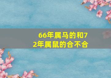 66年属马的和72年属鼠的合不合