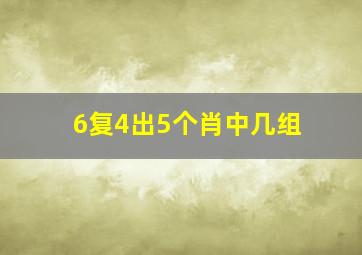 6复4出5个肖中几组