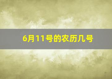 6月11号的农历几号