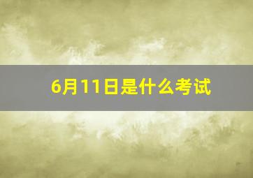 6月11日是什么考试