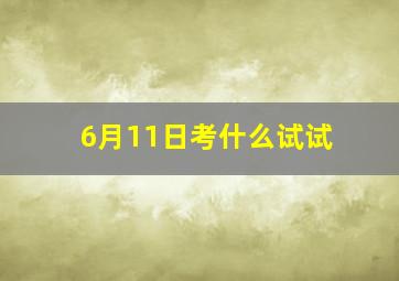 6月11日考什么试试