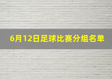 6月12日足球比赛分组名单