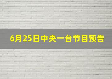 6月25日中央一台节目预告