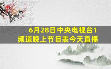 6月28日中央电视台1频道晚上节目表今天直播