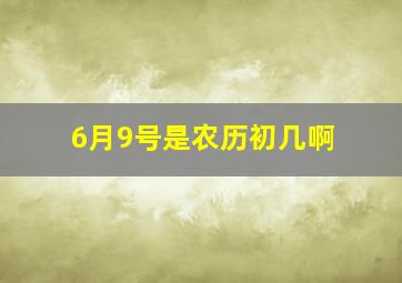 6月9号是农历初几啊