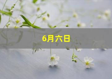 6月六日