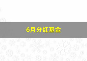 6月分红基金