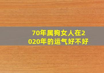 70年属狗女人在2020年的运气好不好