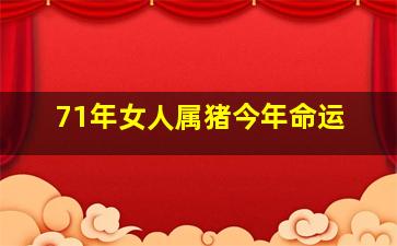 71年女人属猪今年命运