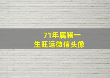 71年属猪一生旺运微信头像