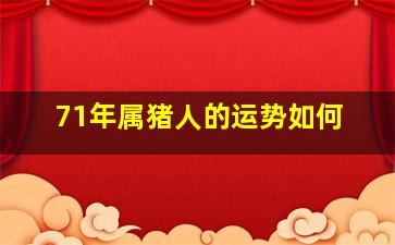 71年属猪人的运势如何