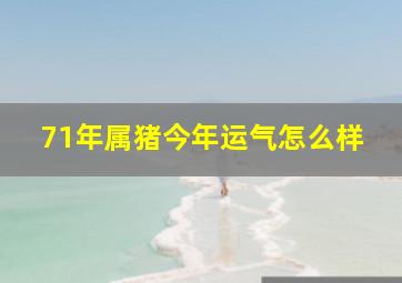 71年属猪今年运气怎么样