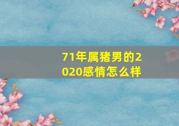 71年属猪男的2020感情怎么样