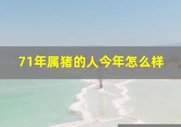 71年属猪的人今年怎么样