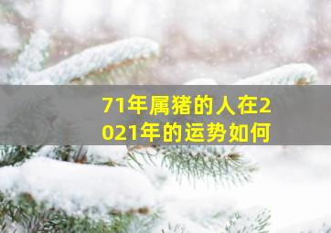 71年属猪的人在2021年的运势如何