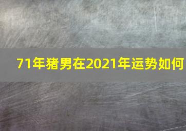 71年猪男在2021年运势如何