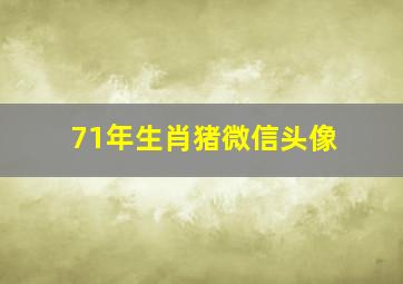 71年生肖猪微信头像