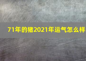 71年的猪2021年运气怎么样