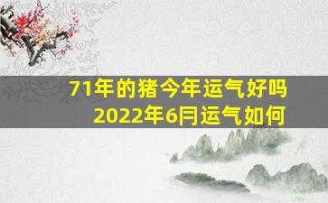 71年的猪今年运气好吗2022年6冃运气如何