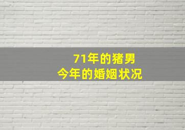 71年的猪男今年的婚姻状况