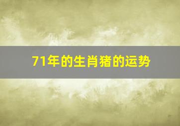 71年的生肖猪的运势