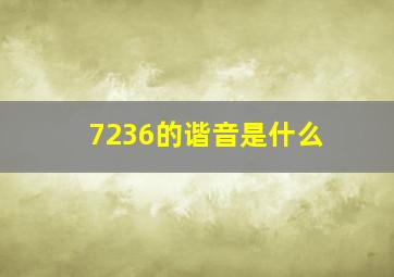 7236的谐音是什么