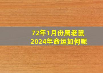 72年1月份属老鼠2024年命运如何呢