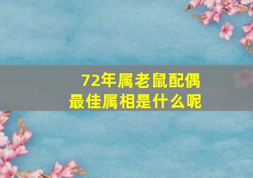 72年属老鼠配偶最佳属相是什么呢