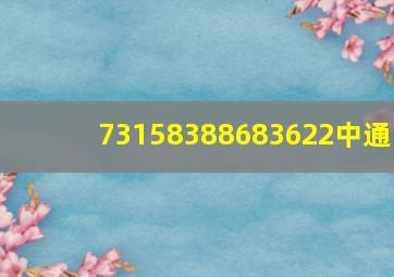 73158388683622中通