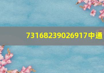 73168239026917中通