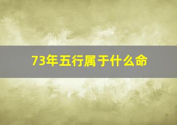 73年五行属于什么命