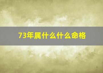 73年属什么什么命格